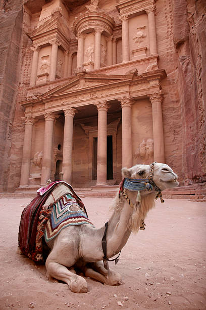istock Bedouin Camel in Petra, Jordan 152134447