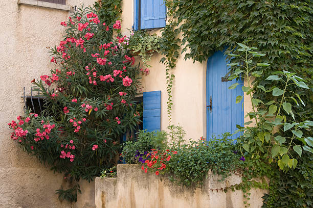 istock Provencals House with colored door and window. Provence. 152135280