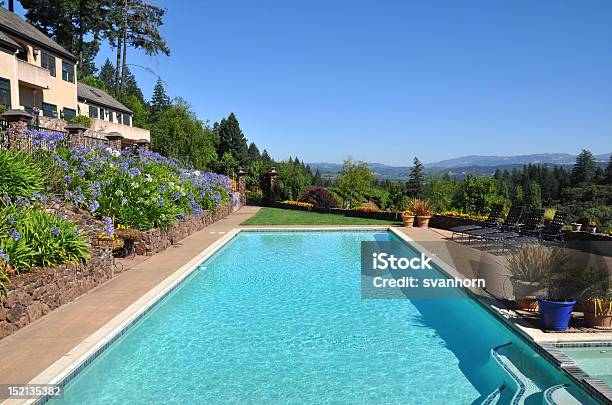 Piscina Con Terrazza Con Vista Su Vigneti Della California - Fotografie stock e altre immagini di Acqua