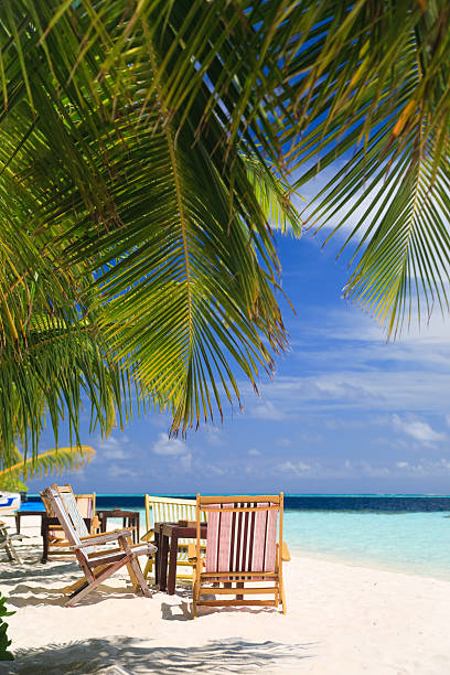 istock Maldives Tropical Paradise with Palm Trees, Beach and lounge chairs 152135962