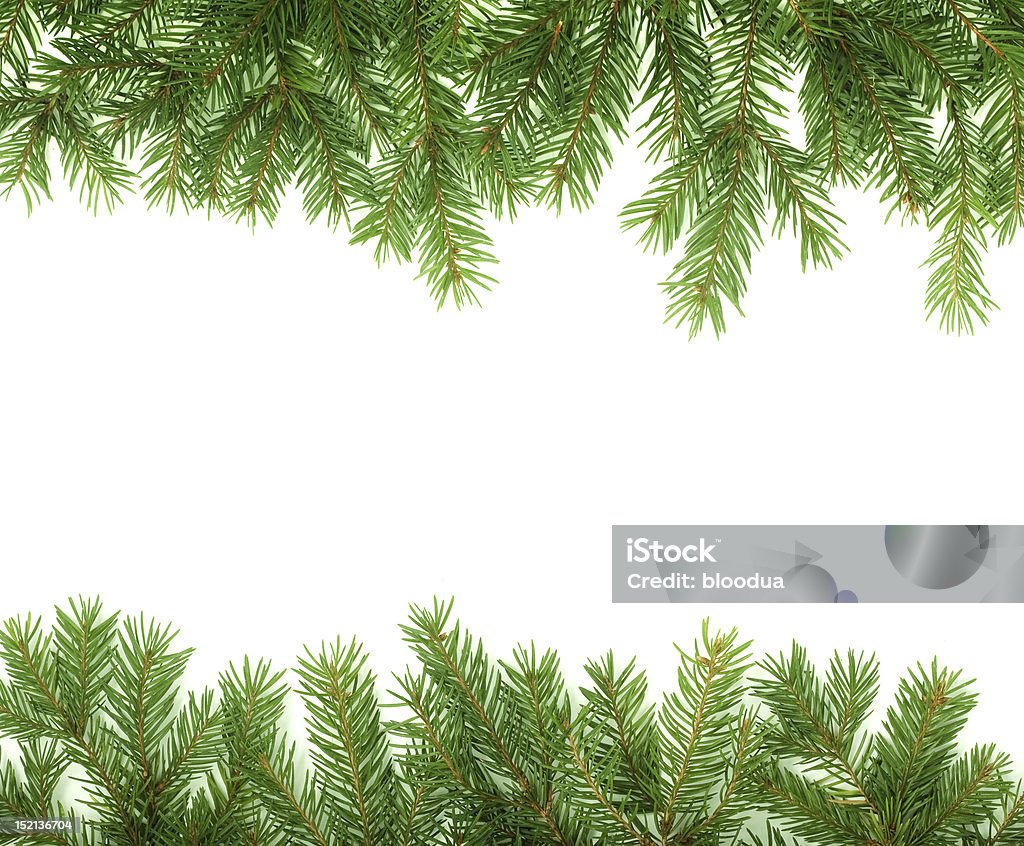 Christmas Tree Branches Border Over White Stock Photo - Image of christmas,  border: 17471912