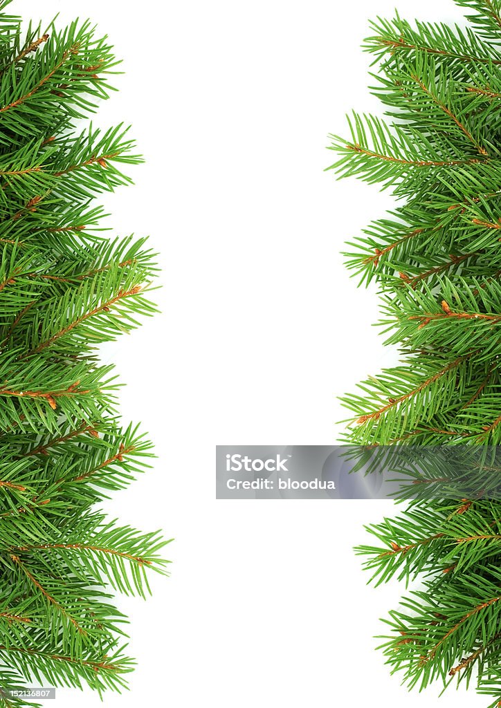 Weihnachten grünen Rahmen - Lizenzfrei Ast - Pflanzenbestandteil Stock-Foto