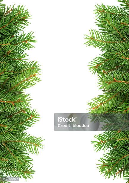 Weihnachten Grünen Rahmen Stockfoto und mehr Bilder von Ast - Pflanzenbestandteil - Ast - Pflanzenbestandteil, Baum, Feiertag