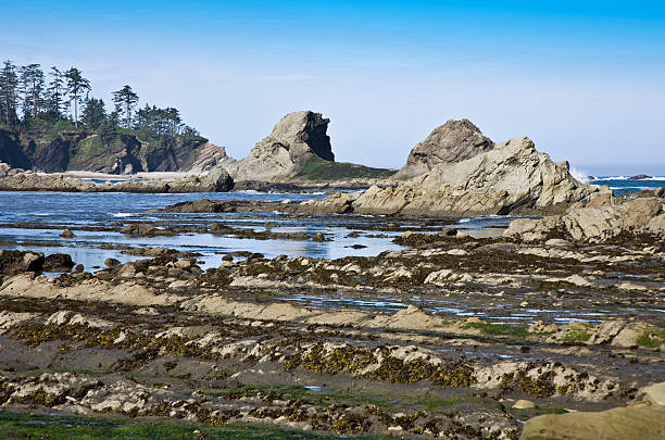 puesta de sol vista a la bahía, costa de oregon, estados unidos - sunset bay oregón fotografías e imágenes de stock