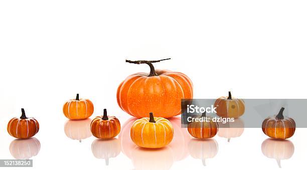 Большие И Малые Pumpkins В Ряды На Белом Фоне — стоковые фотографии и другие картинки Без людей - Без людей, Белый, Белый фон