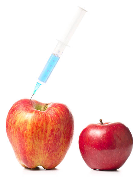 小型アップル、巨大な 1 つの注射器 - apple red delicious apple studio shot fruit ストックフォトと画像