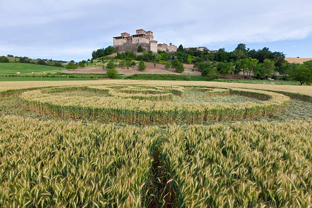 italian crop circle crop circle in front of the castle Torrechiara, Italy, crop circle stock pictures, royalty-free photos & images