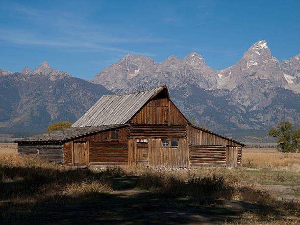 istock Historic T. A. Moulton Barn on Mormon Row 152139239