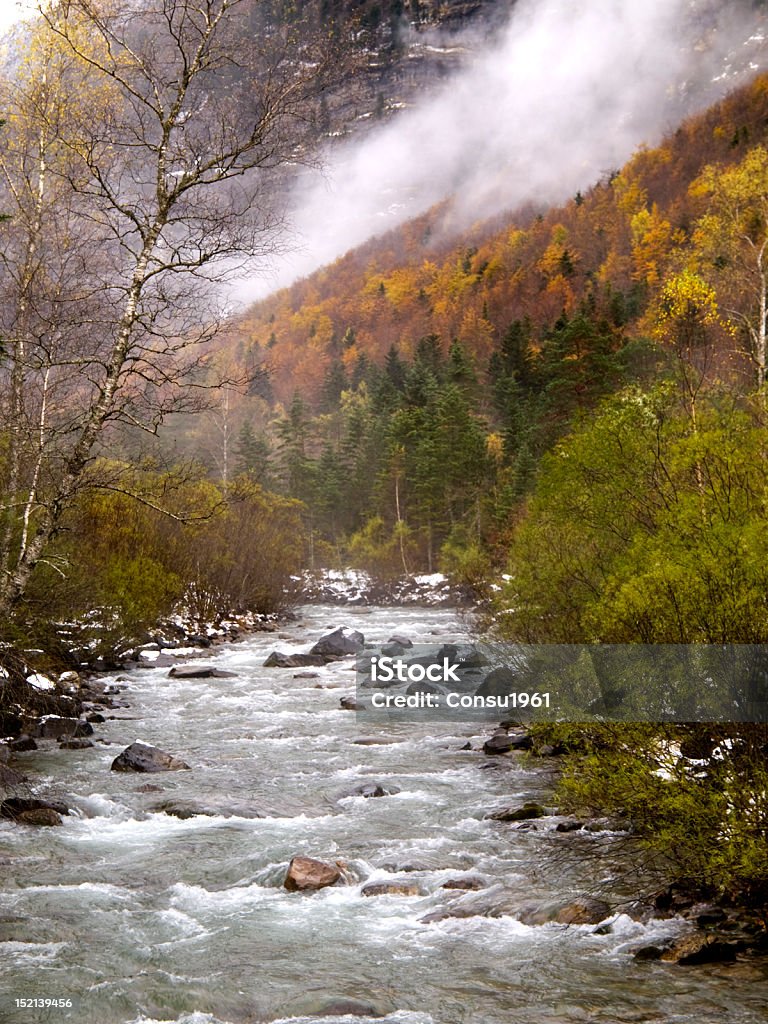 diente - Foto de stock de Aire libre libre de derechos