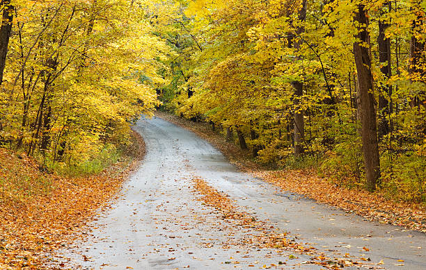 istock Road through park in Autumn 152139746