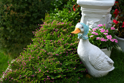 White Duck statue Decorated in the garden