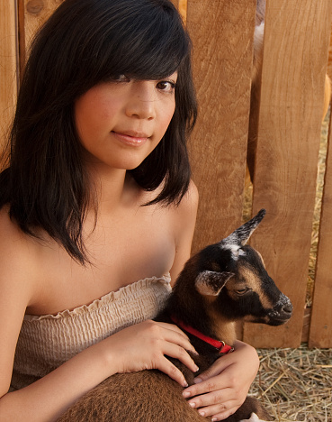 Teenage girl holds a baby Nigerian Dwarf goat on her lap.