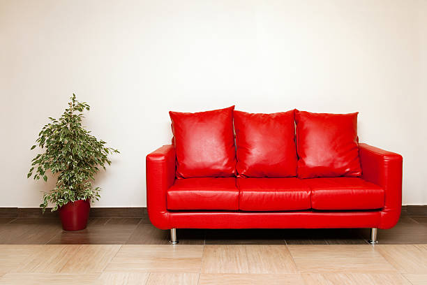 sofá de cuero rojo con almohadas y planta. - espacio masculino fotografías e imágenes de stock