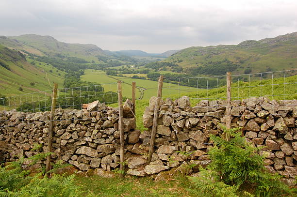 Muro de pedra, Lake District - foto de acervo