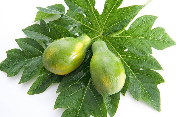 papaya stock photo