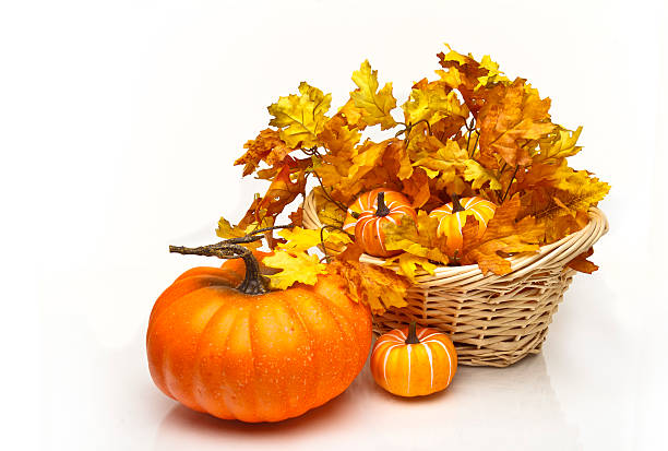 Pumpkins in a wicker basket with fall leaves stock photo