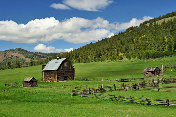 istock Old Barn and homestead in a green field 152140461