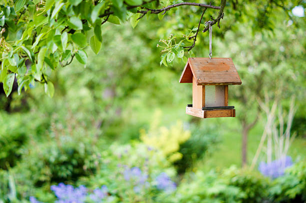 istock Birdhouse in the Garden 152140656