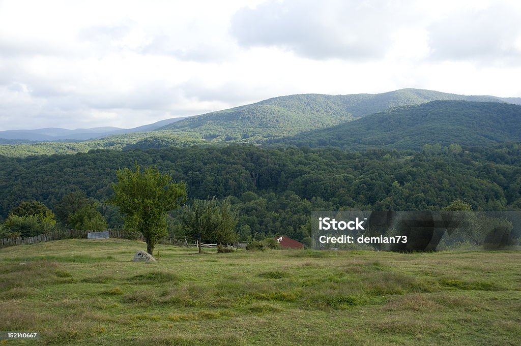 Countryside Landscape - Royalty-free Ağaç Stok görsel