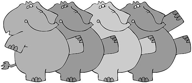 elephant chor-linie - chorus girl stock-grafiken, -clipart, -cartoons und -symbole