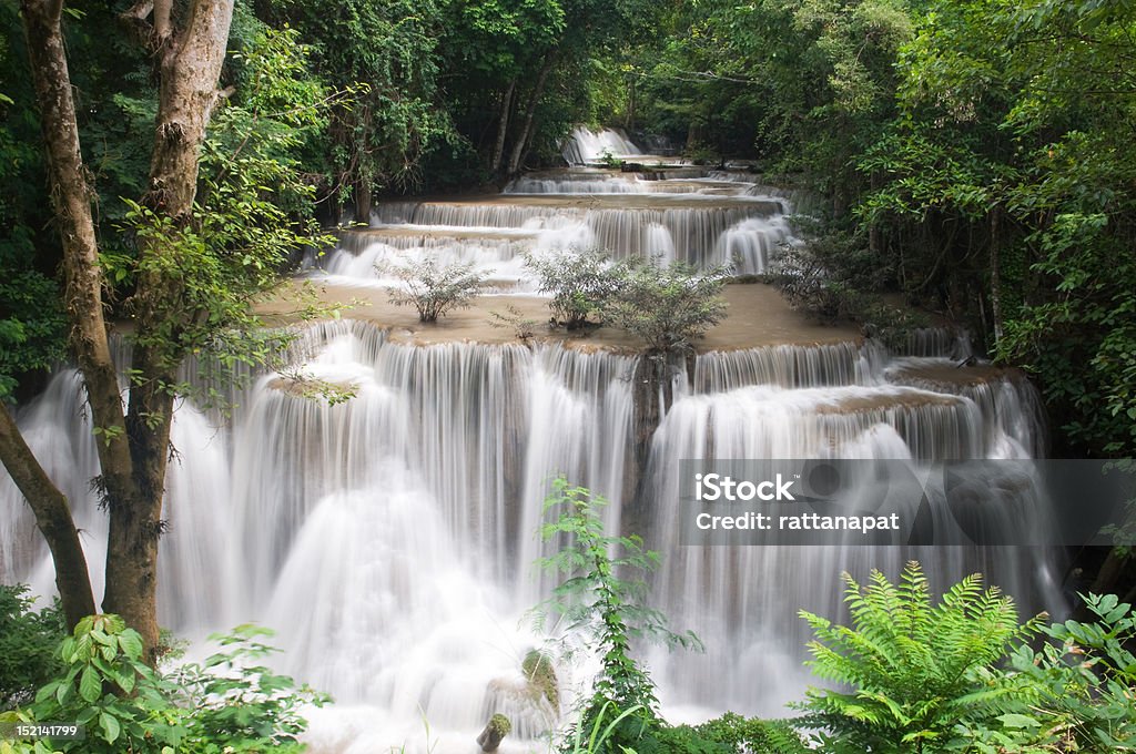 cascade - Photo de Arbre libre de droits