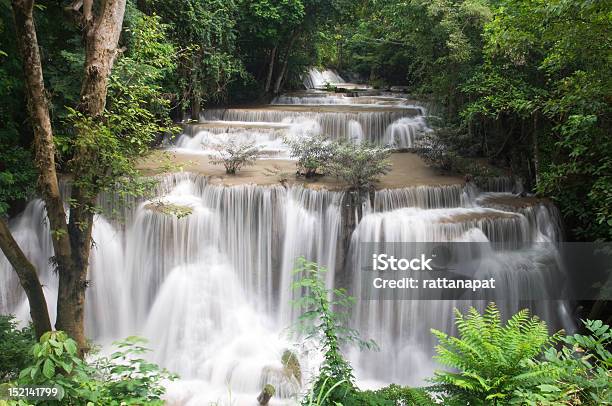 Photo libre de droit de Cascade banque d'images et plus d'images libres de droit de Arbre - Arbre, Arbre tropical, Asie