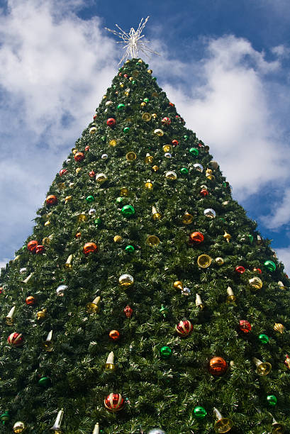 Grand arbre de Noël - Photo