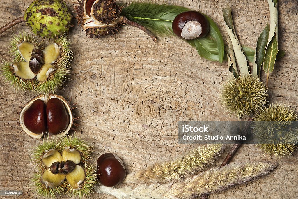 Cadre automnal avec des noix - Photo de Aliment libre de droits