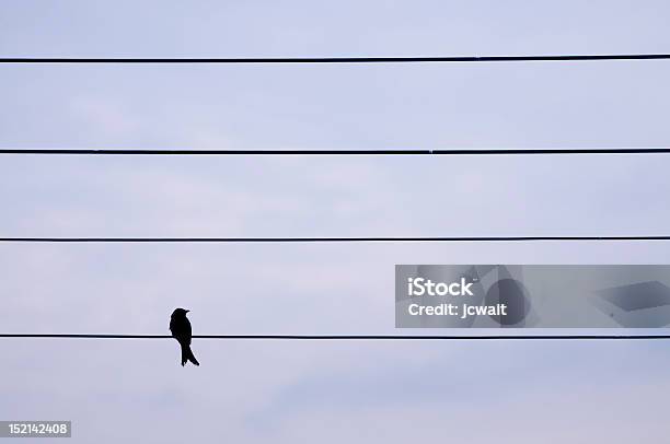 Música De Foto de stock y más banco de imágenes de Azul - Azul, Cielo, Color negro