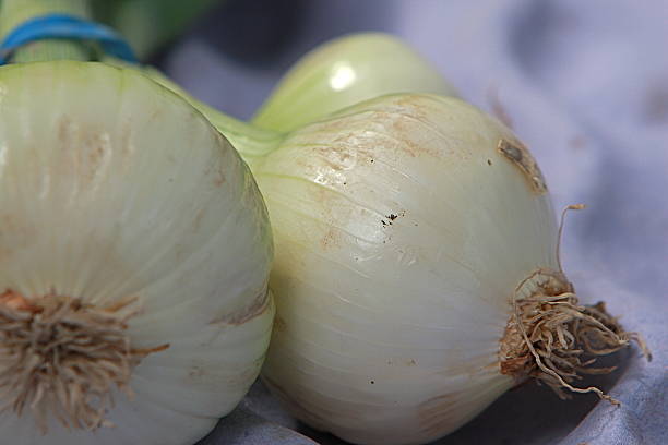 Orgaic sweet onion stock photo