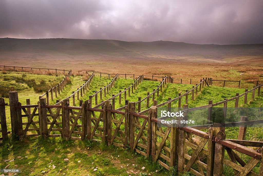 Cracoe sheepfold complejo - Foto de stock de Invierno libre de derechos