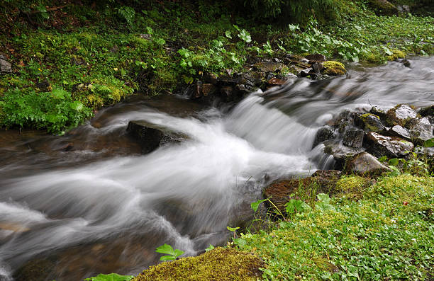 Carpathian stream stock photo