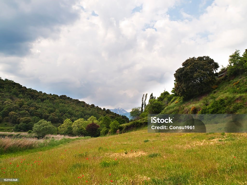 Valley - Foto de stock de Aire libre libre de derechos