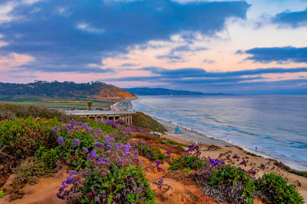 istock Southern California Summer Vibes 1521456195