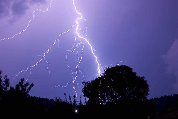 istock Lightening Roots At Night Striking Near Tree 152145709