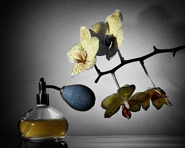 Perfume flacon and Orchid (colorized) Perfume flacon and Orchid - partially colorized floral-oriental hybrid perfumes stock pictures, royalty-free photos & images
