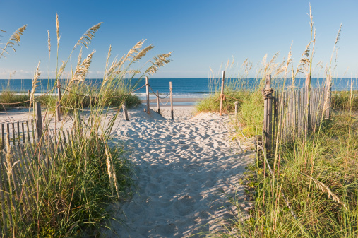 A beach access leads through the dunes to the beach and the atlantic ocean. The path is surrounded by sea oats, grasses and dune fencing. Oak Island, North Carolina