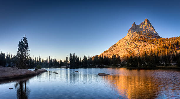 Cathedral Lake and Pine stock photo