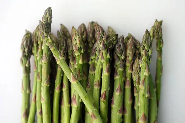 A lovely bunch of green asparagus on a white backdrop