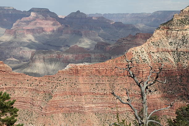 istock Grand Canyon, Arizona, USA 152148727