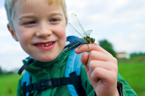 boy is holding a dragonfly