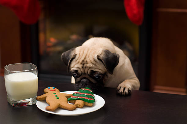 "Kradzież christmas cookie" – zdjęcie