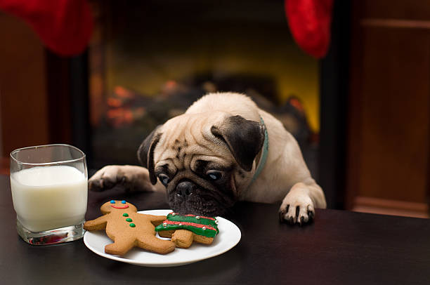 "Kradzież christmas cookie" – zdjęcie