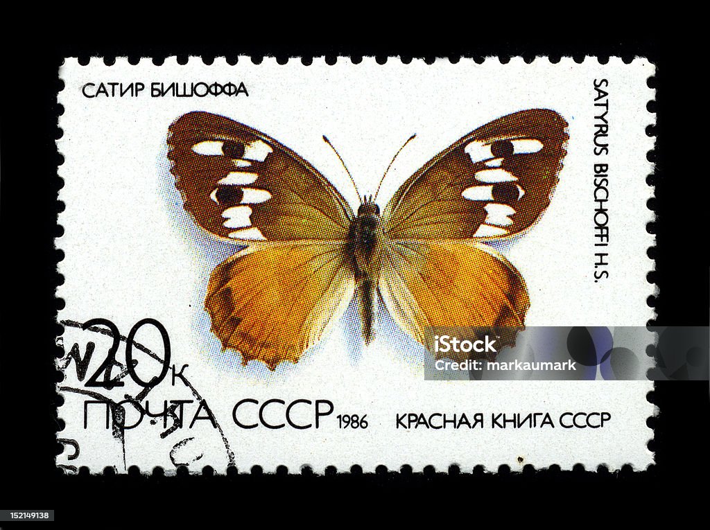 Postage stamp. "USSR - CIRCA 1986: Postage Stamp printed in USSR shows image of the Butterfly ""Satyr Bishoff"" circa 1986.    " 1986 Stock Photo