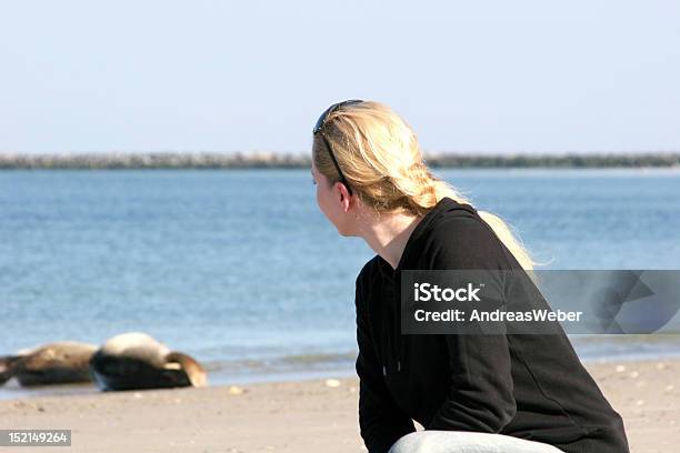 Menina Observando Selos Na Costa Da Helgolândia Alemanha - Fotografias de stock e mais imagens de Adulto