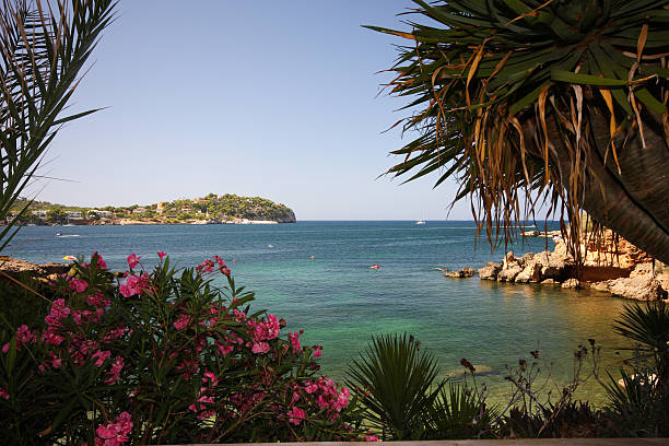 istock beautiful view to sea 152149832