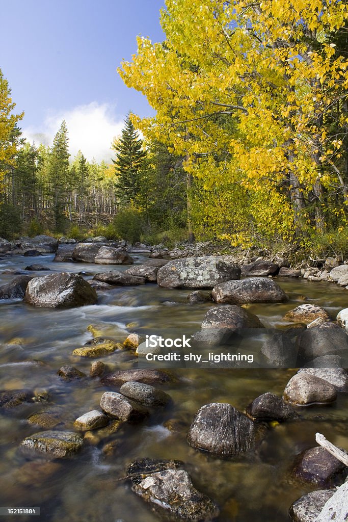 Automne la rivière - Photo de Arbre libre de droits