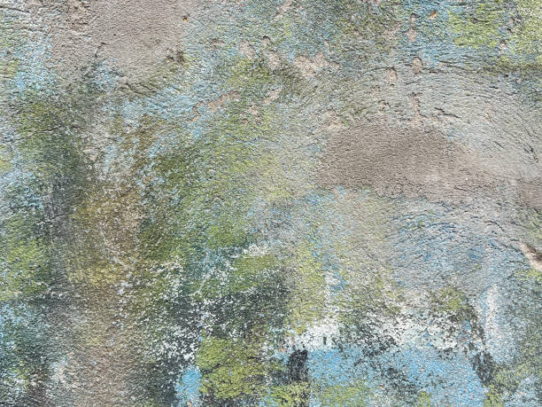 istock Old wall is covered with green mold and remnants of blue paint 1521544927