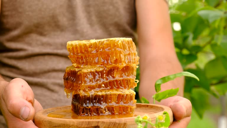 Harvest of honey in the hands of a beekeeper in the garden. Selective focus. Food.