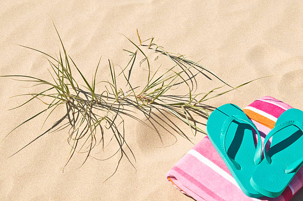 Beach grass towel and flip-flops. stock photo